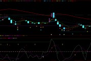市北高新股吧(高新发展最新消息重组公告)