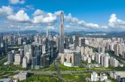 深圳能源集团(深圳能源集团东部电厂)