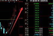 实达集团股票股吧(实达集团股票行情)