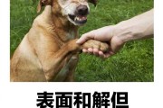 他说可以上了(他说,可以上 萌娘百科)