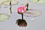 水中(水中生孩子的痛苦视频)