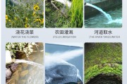 刷流量网站的简单介绍
