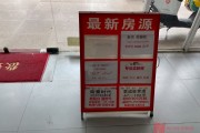 深圳中介(深圳中介人力资源)