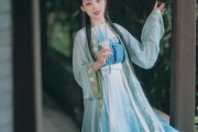 宋服(宋服饰图片)