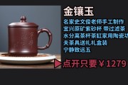 史文俊(史文俊个人简历)