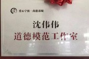 沈伟伟(沈伟伟 中国政法大学)