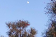 是月(是月亮绕着地球转还是地球绕着月亮转)