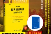 世界经济形势(世界经济形势与政策论文)
