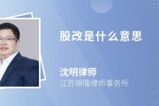 什么是股改(什么是股改审计)