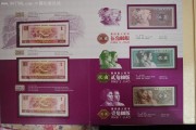 塑料人民币第六套(2025年第六套人民币)