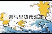 索马里人民币汇率(毛里求斯的货币跟人民币的汇率)