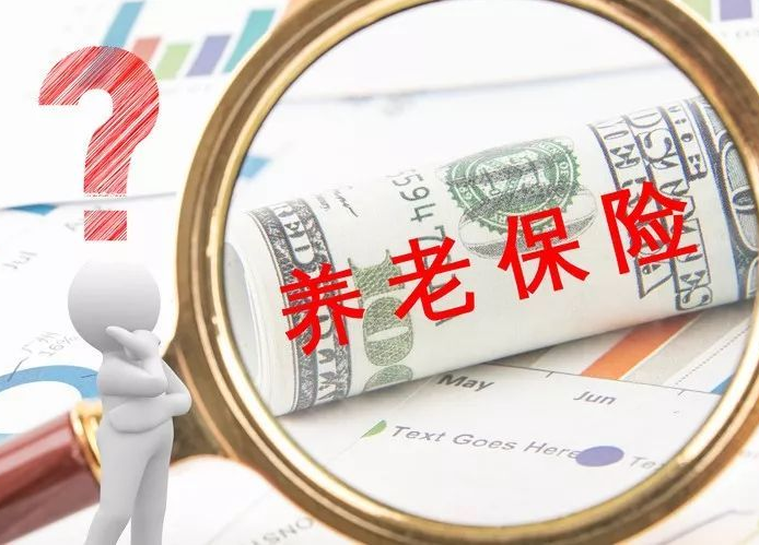 税延养老保险(个人税延养老保险)