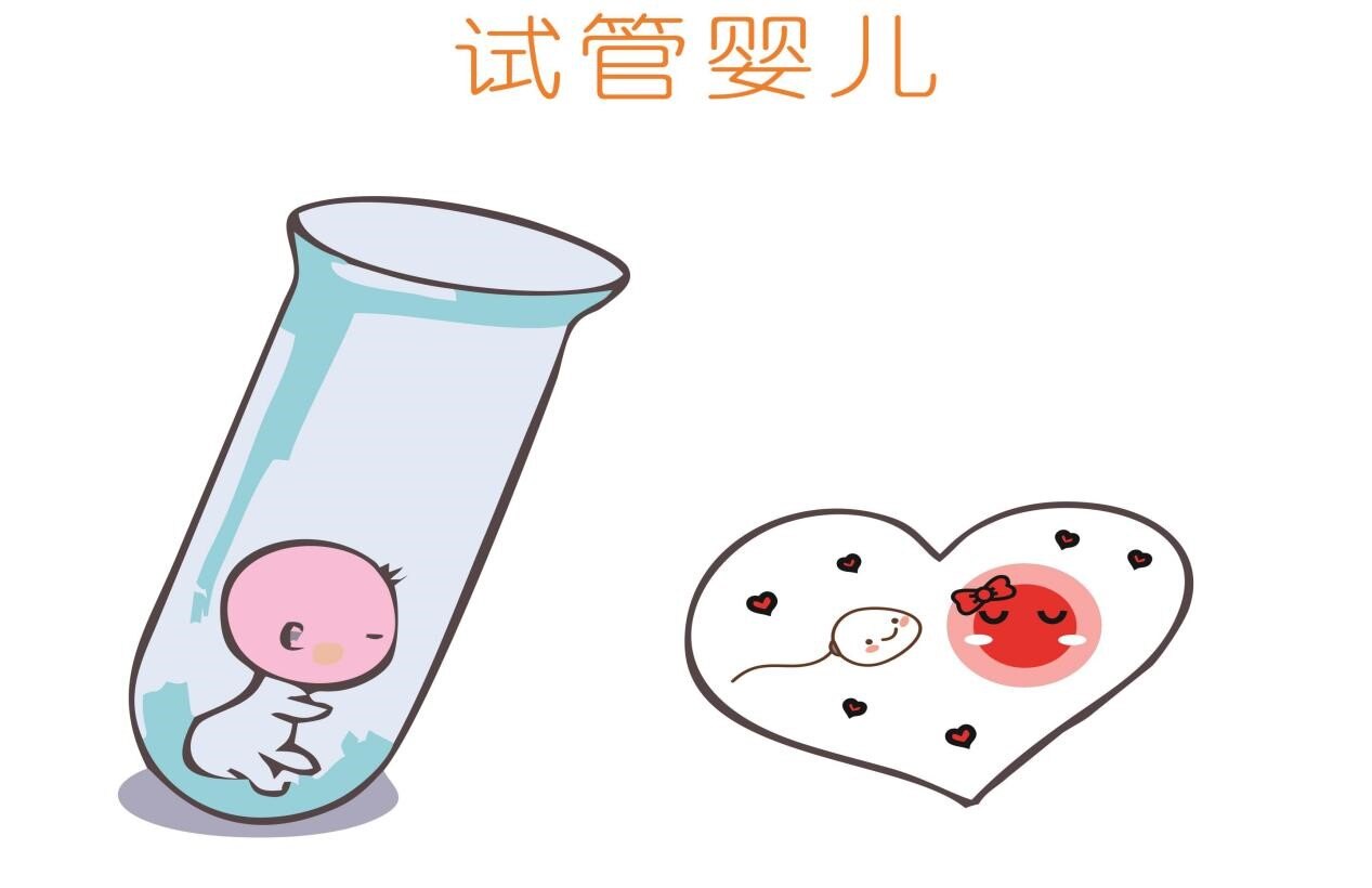 试管移植费用(试管最后一步移植要多少钱)