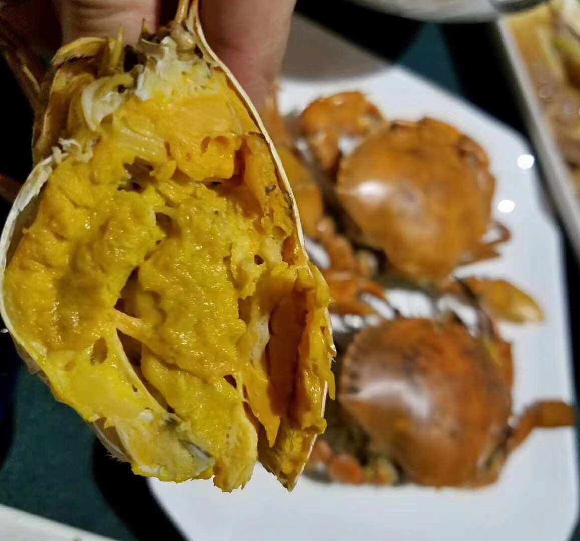 送螃蟹(送螃蟹怎么说客套话)
