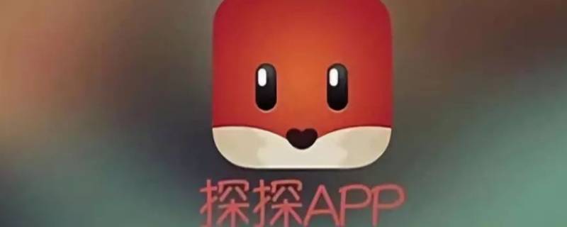 探探直播(小宝花探全集)