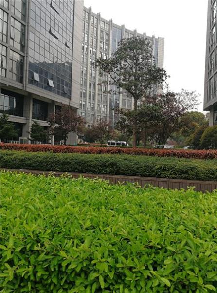 市北高新(市北高新人才公寓)