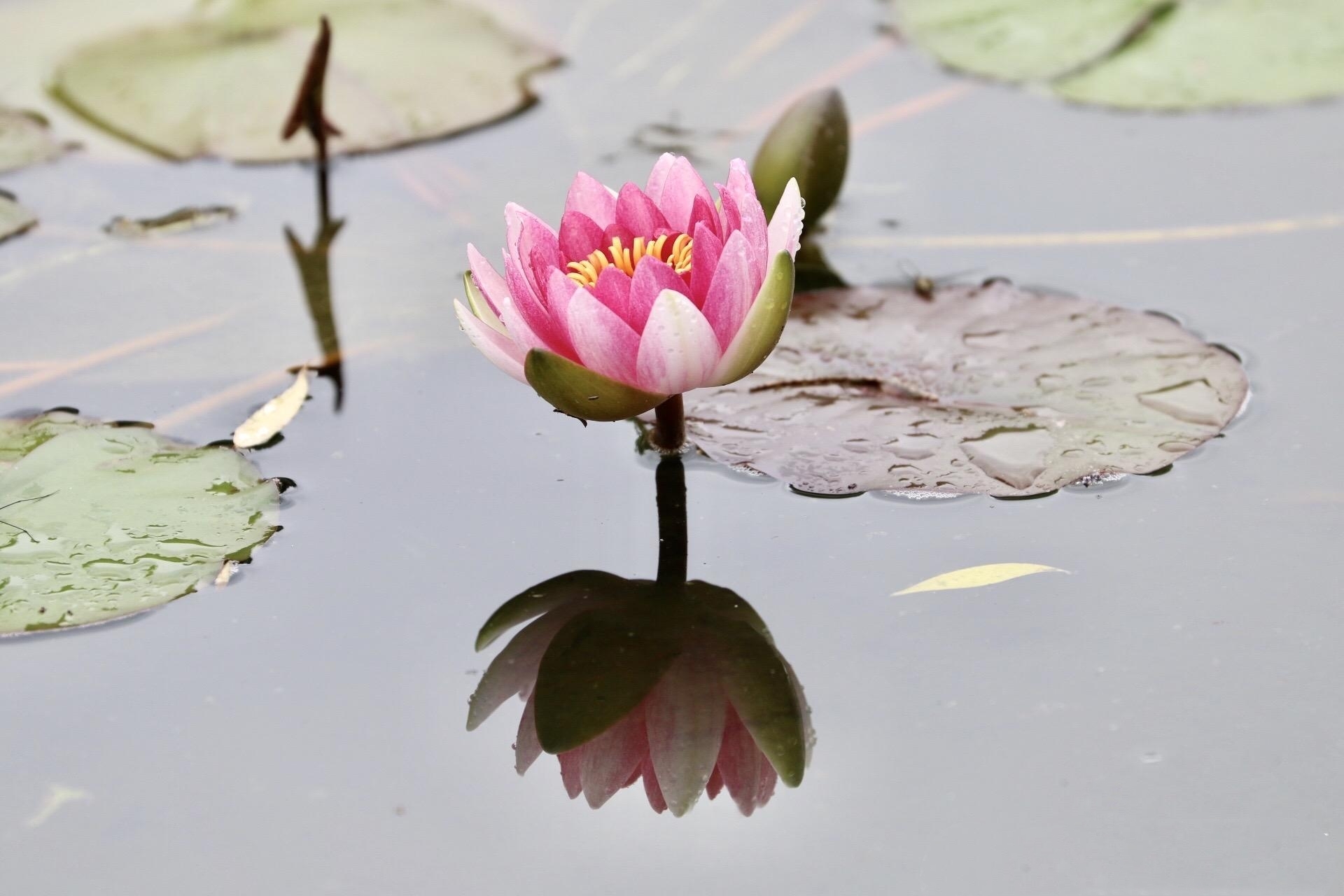 水中(水中生孩子的痛苦视频)