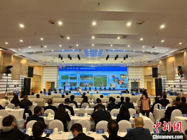 遂宁市人民政府(遂宁市人民政府办公室电话)