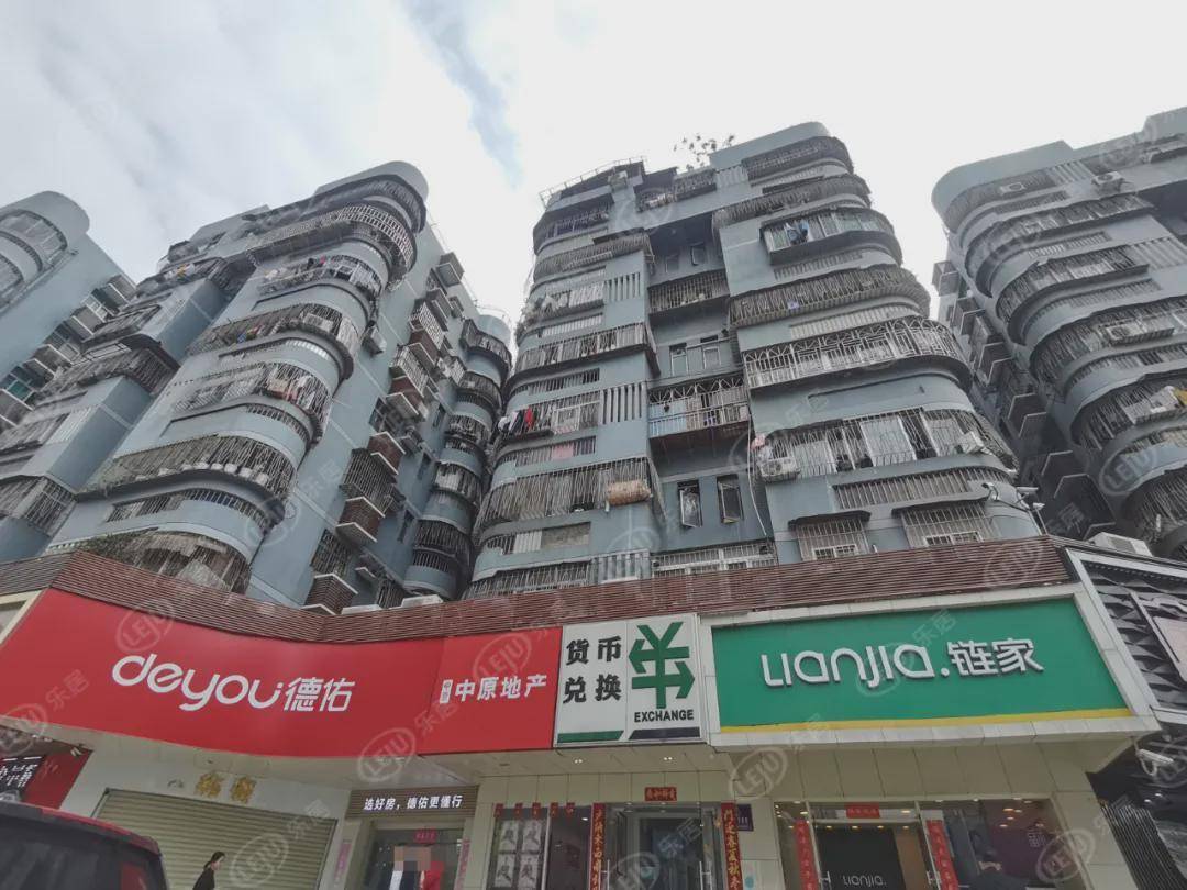 深圳中介(深圳中介人力资源)