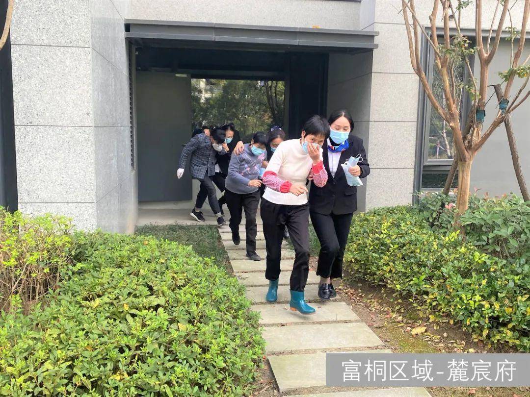 宋都服务(宋都服务怎么样)