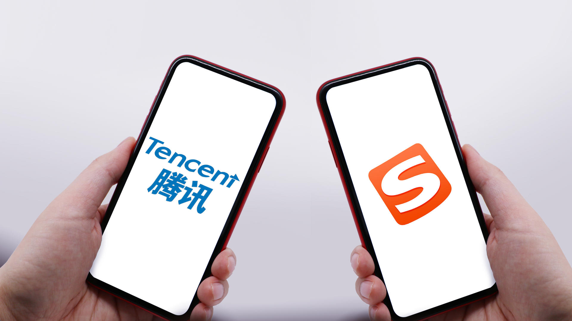 收狗(收狗多少钱一只)