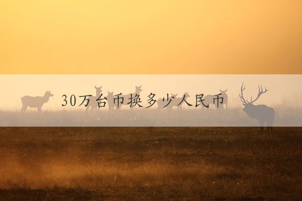 台币30万多少人民币(30万台币换算人民币)