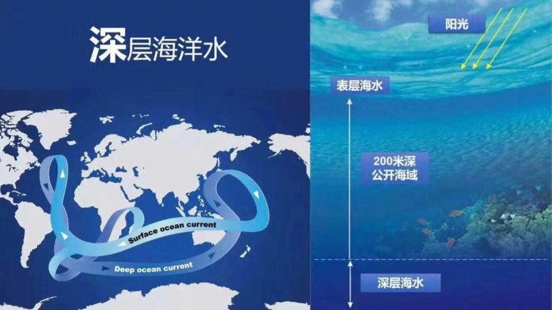 世界牙膏之母(世界牙膏之母是哪家公司)